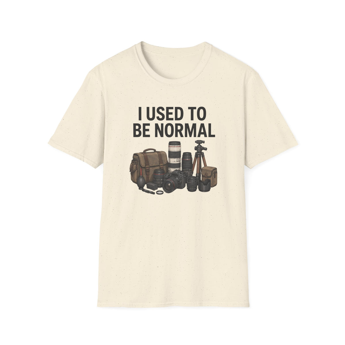 I Used to Be Normal T-Shirt
