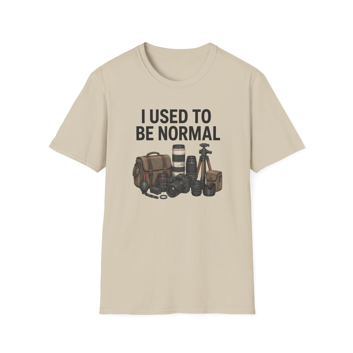 I Used to Be Normal T-Shirt