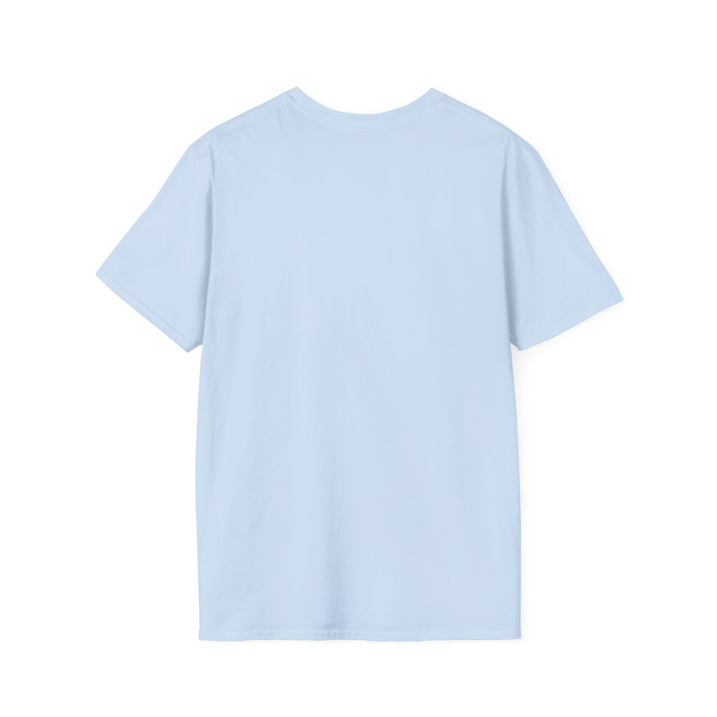 I Used to Be Normal T-Shirt