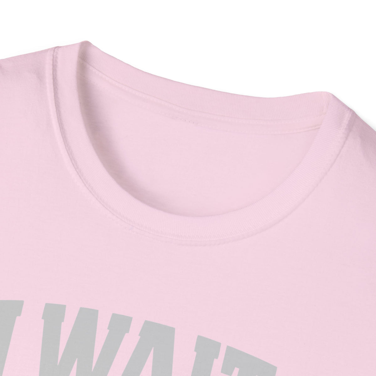 I Wait on Birds T-Shirt